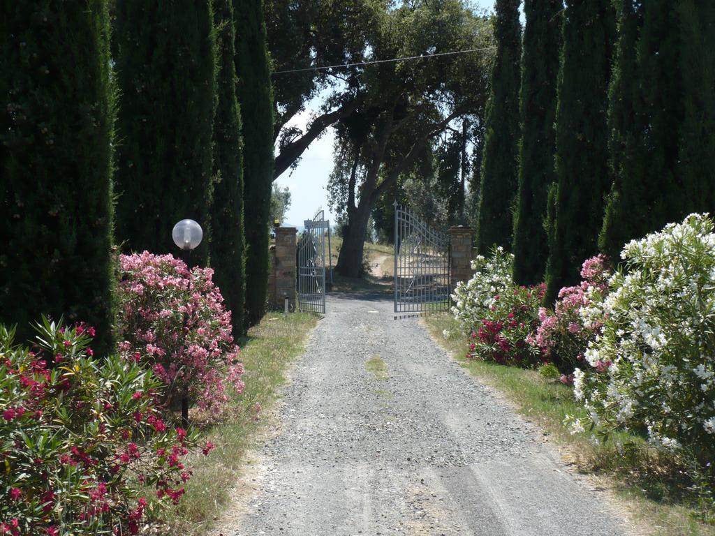 Villa La Sassetta à Bibbona Extérieur photo